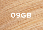 09gb
