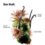 3474637324667_EN_7-jpg