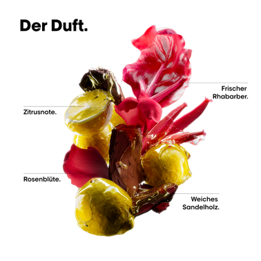 3474637324674_EN_6-png