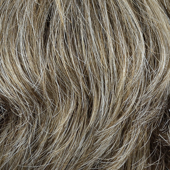 Light Brown Grey Rooted (38/Light)