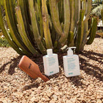 evo Pete Ionic Paddle Brush – Ansicht 4