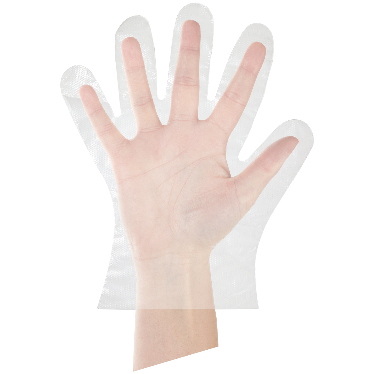Fripac Einmal-Handschuhe Damengröße geprägt, 100 Stück