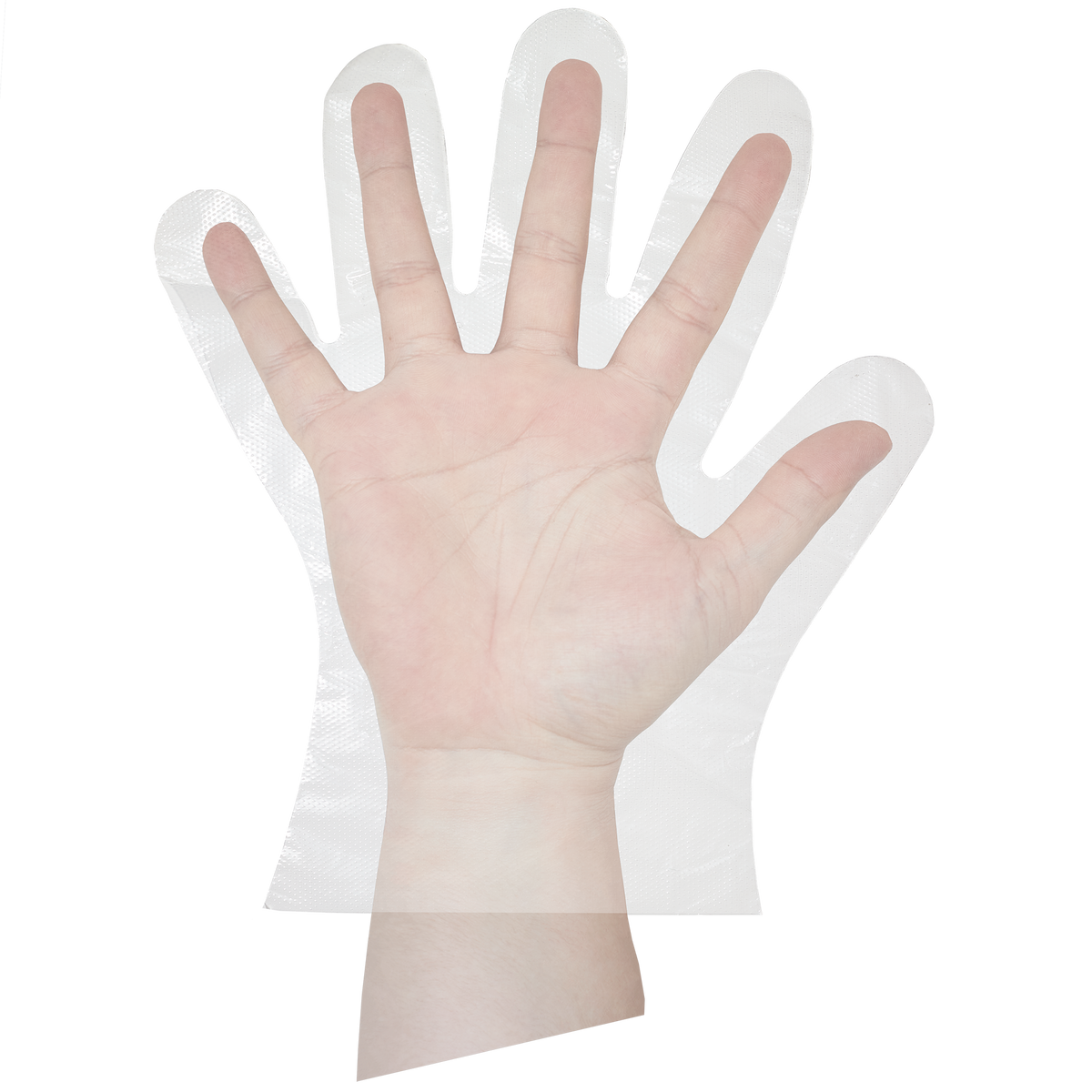 Fripac Einmal-Handschuhe Herrengröße geprägt, 100 Stück