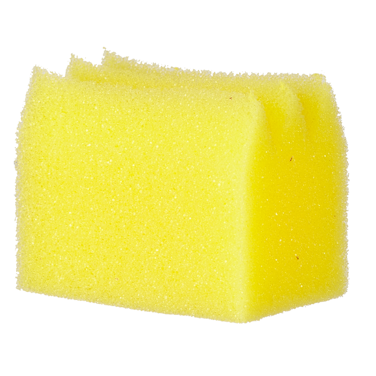 Fripac Ersatz-Fixierschwämmchen, 10 Stück