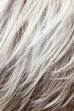 Frost Blond Rooted (1001/613-14+14)
