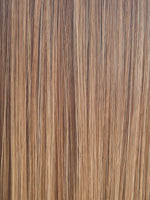 Dark Blond Balayage (12/14/26+12)