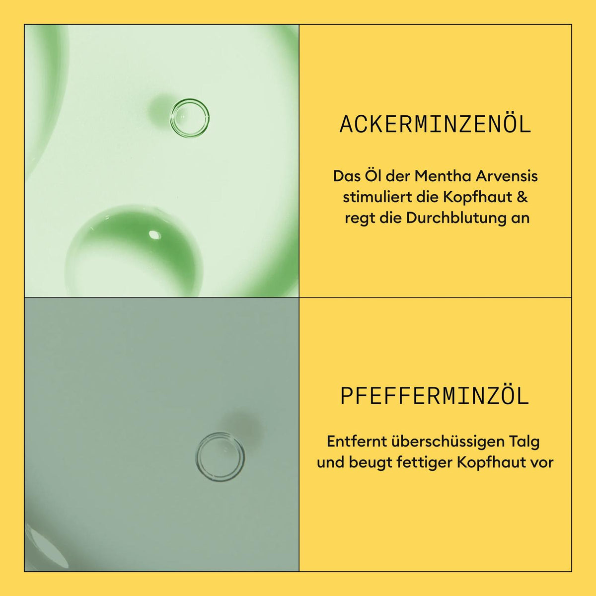 Nioxin Scalp + Hair System 1 Conditioner 300 ml – Ansicht 3