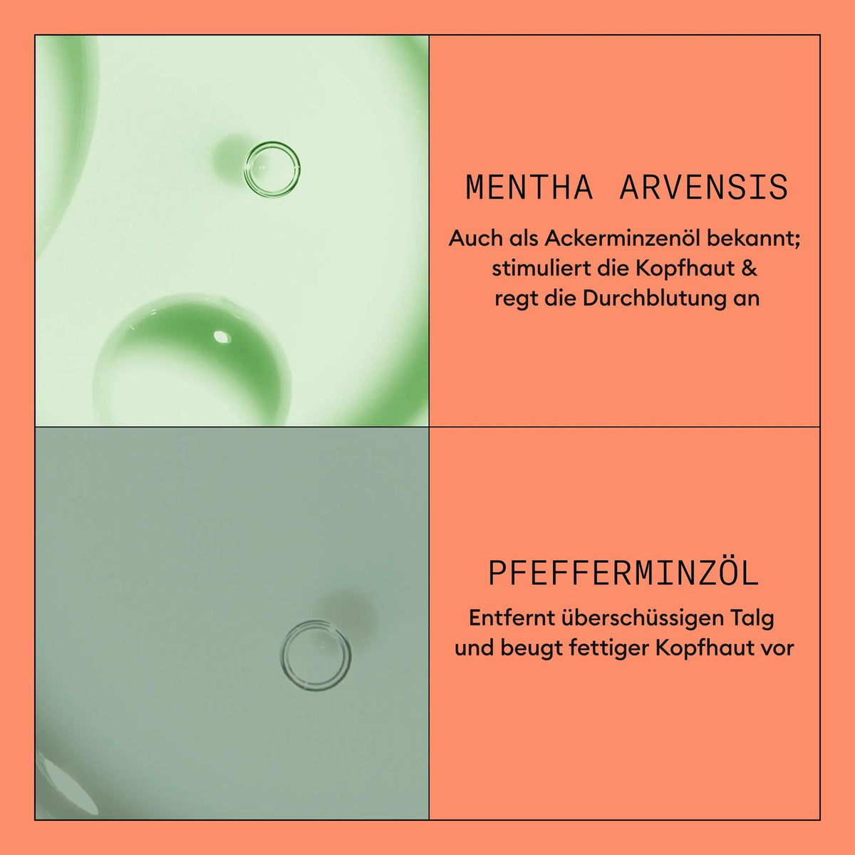 Nioxin Scalp + Hair System 4 Conditioner 1000 ml – Ansicht 2