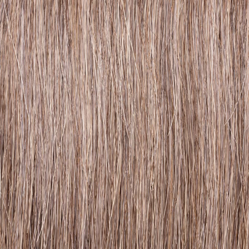 coffeebrown frosted 8.10.15