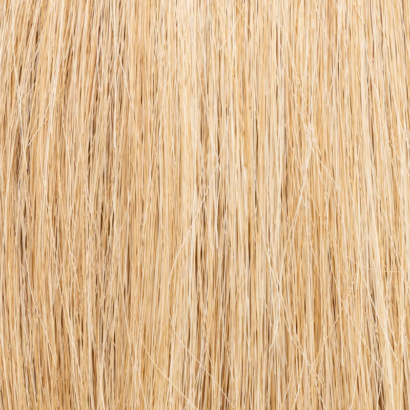 sandyblonde rooted 20.22.16
