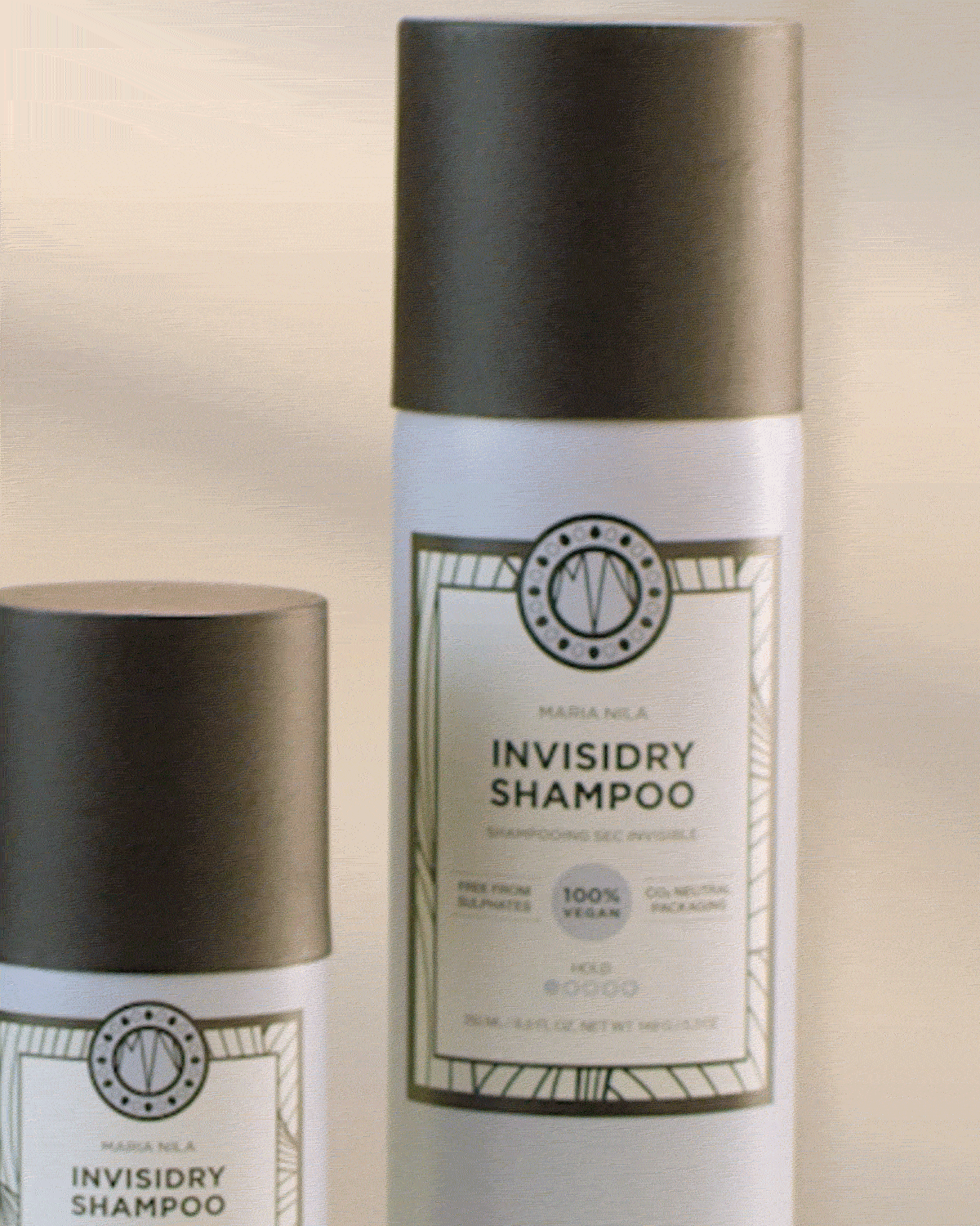 Invisidry Shampoo 100 ml