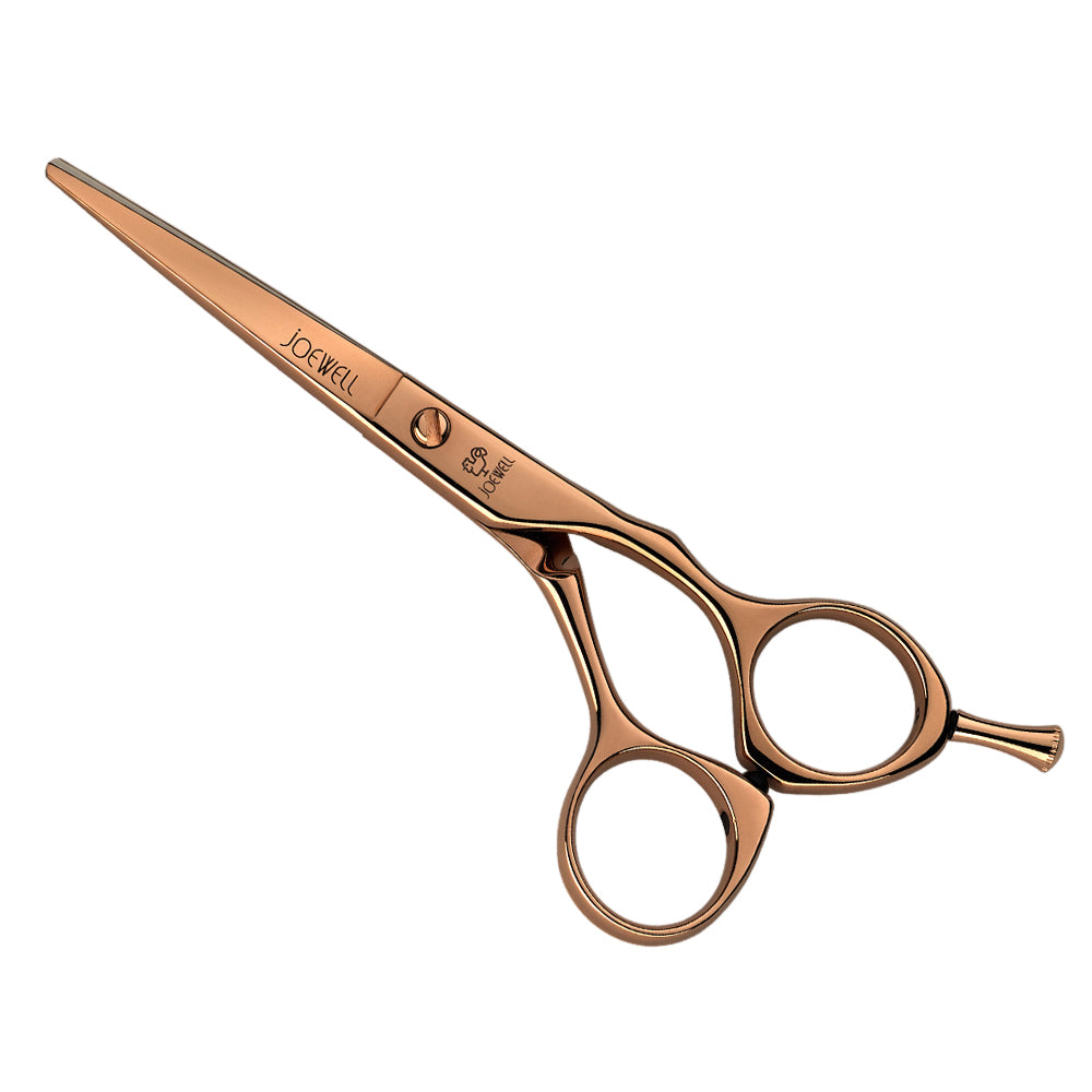 joewell_PG55_mit_Pfad_2-Stjr