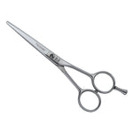 joewell_classic_pro_550slicing_2-5dRH