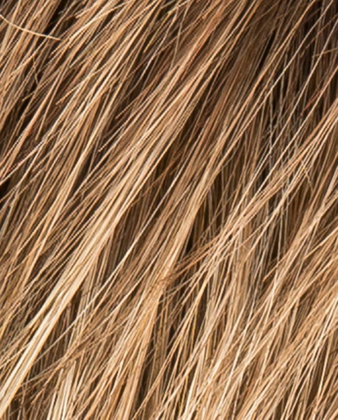 point_bernstein_rooted